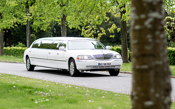 limousine rentals in West Michigan